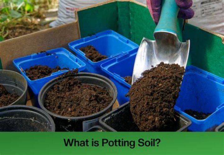 Is compost the same as potting soil?