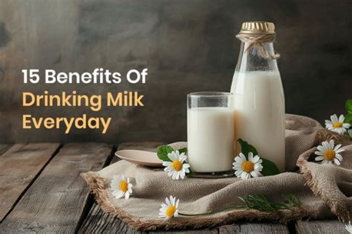 Is it good to drink milk everyday for adults?