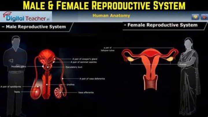 Is June a male or female name?