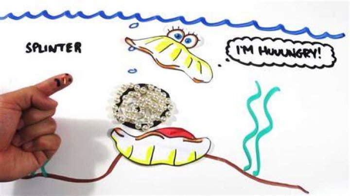 Is Pearl a mineral?