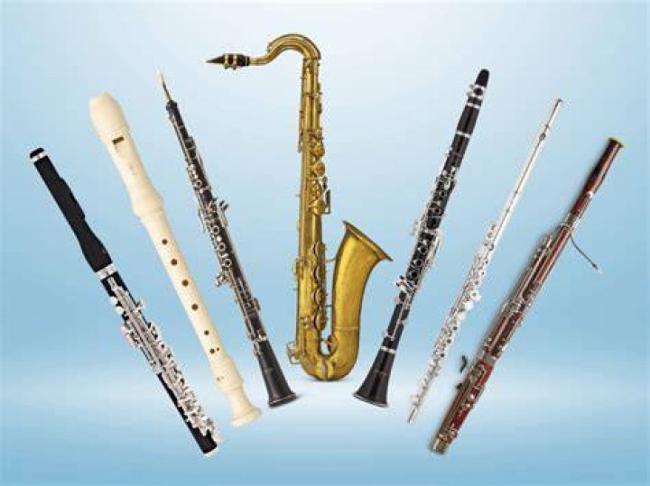 Is Sax a woodwind?