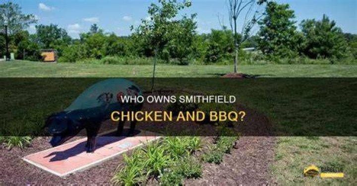 Is Smithfield chicken and BBQ owned by China?