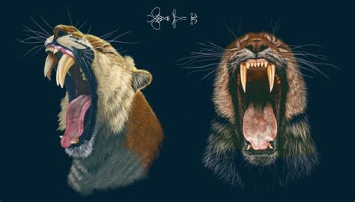 Is there 1 saber tooth tigers left?