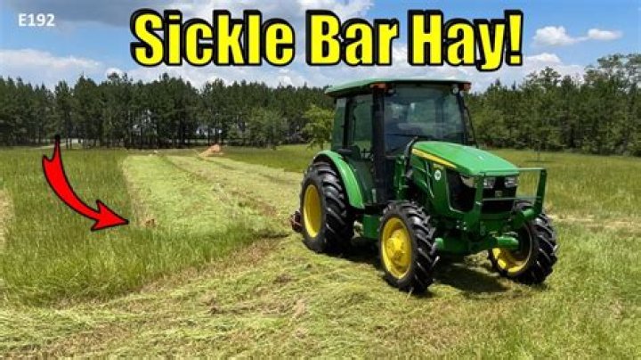 Should you cut hay with dew on it?
