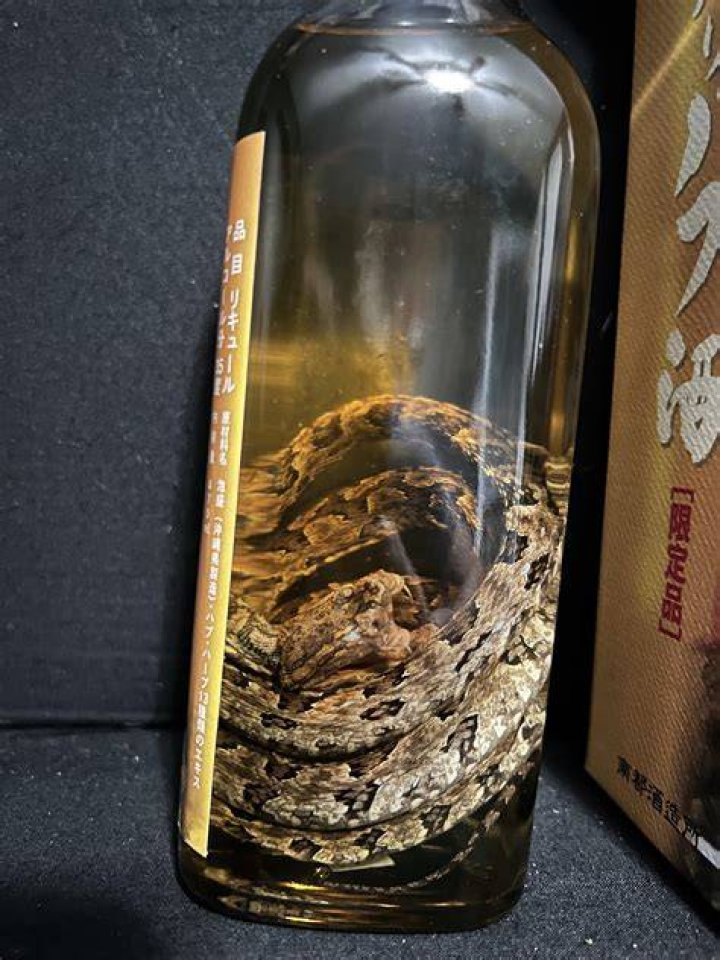 What alcohol has a snake in it?