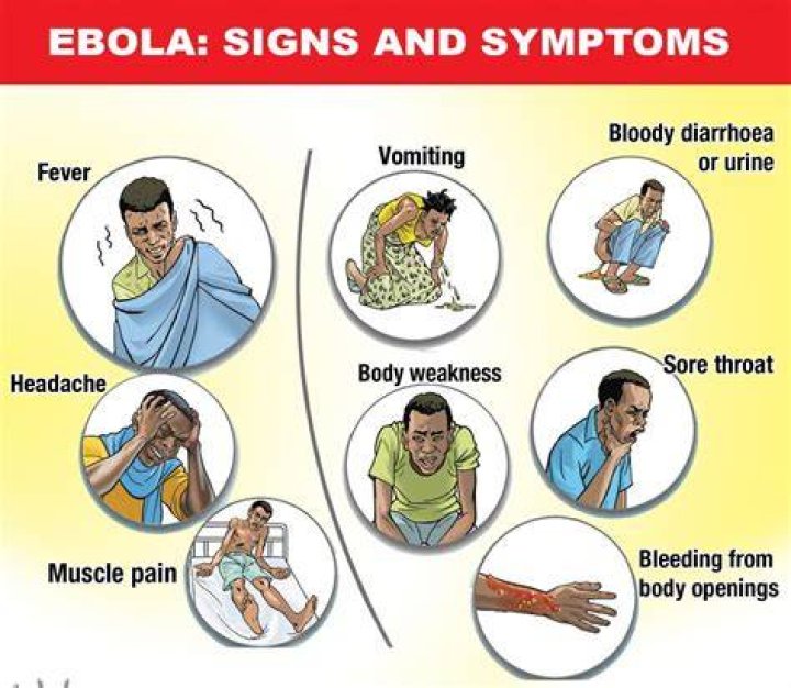 What are the symptoms of toilet disease?
