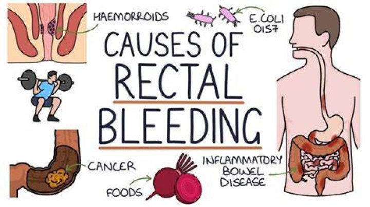 What causes a horse to pee blood?