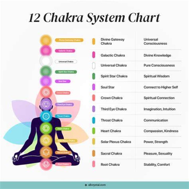 What chakra is pelvis?