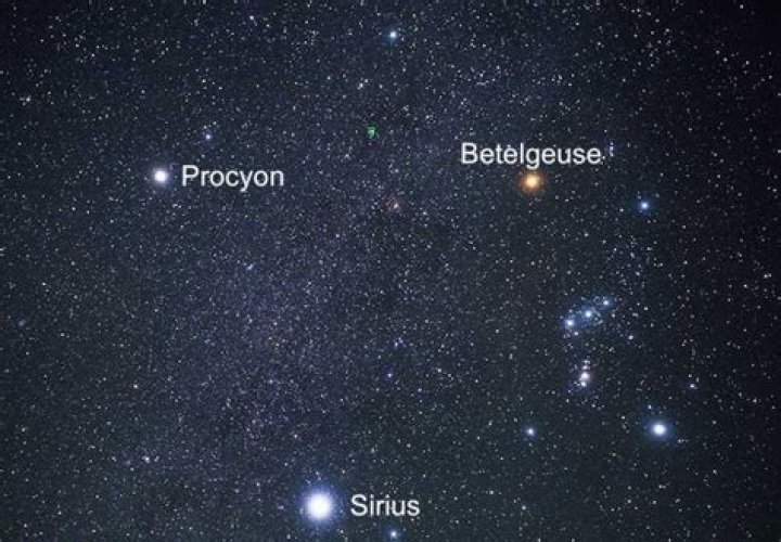 What color is Procyon?