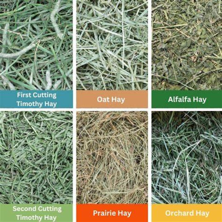 What cut of hay is best for cows?