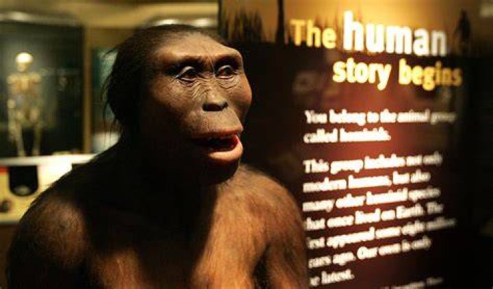 What did the first humans eat?