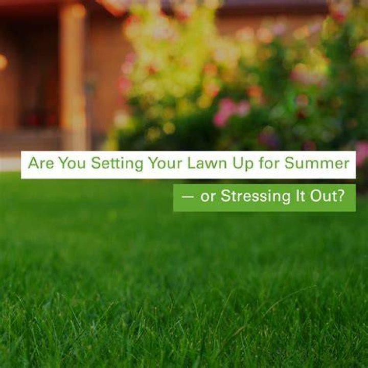 What do you put on your lawn in the summer?