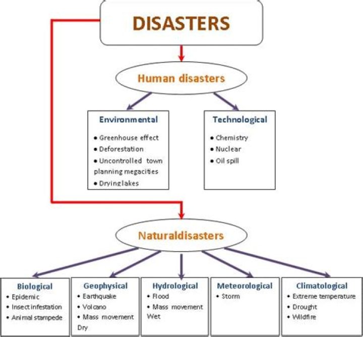 What do you understand by disaster explain its types?