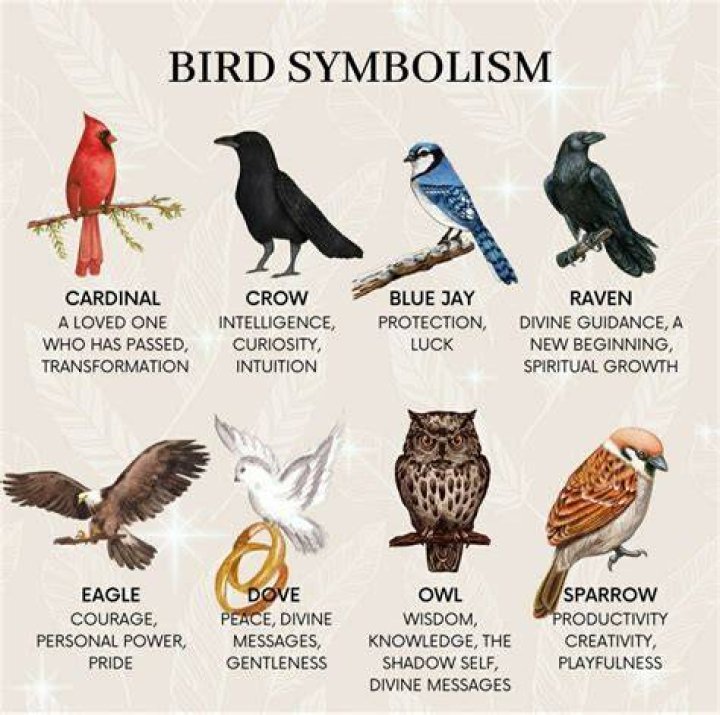 What does an owl symbolize in Mexico?