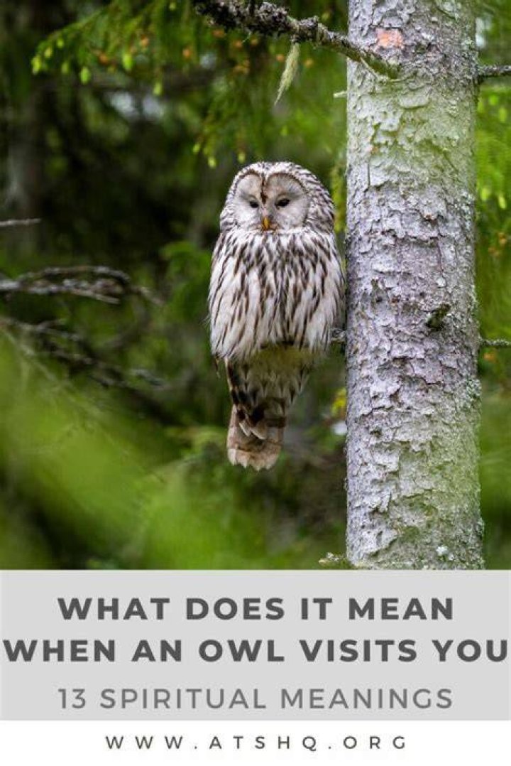 What does it mean if an owl visits you?