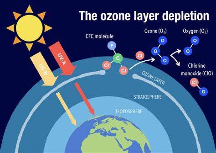 What does ozone do to blood?