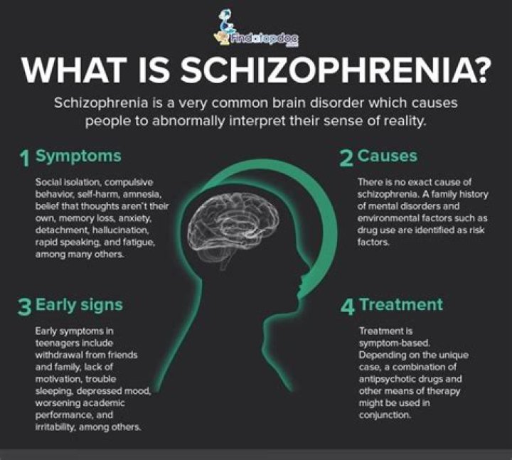 What does schizophrenia do to a person?