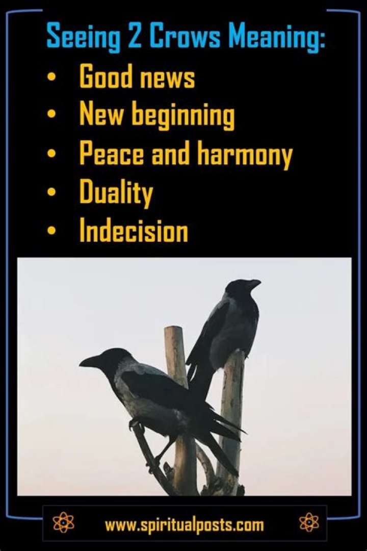 What does seeing 2 crows mean?