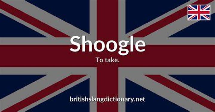 What does Shoogle mean in English?