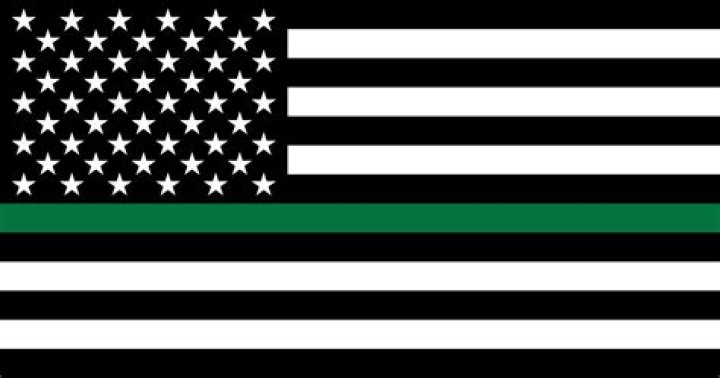What does the green Line flag mean?