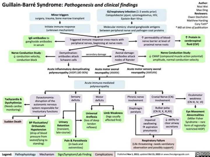 What food causes Guillain-Barré syndrome?