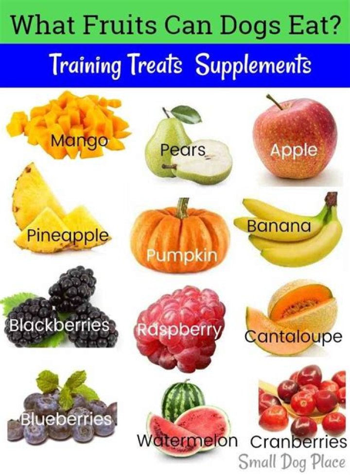 What fruit can puppies eat?