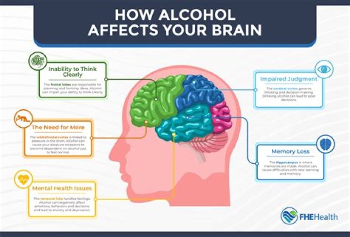 What happens to your brain when you stop drinking?
