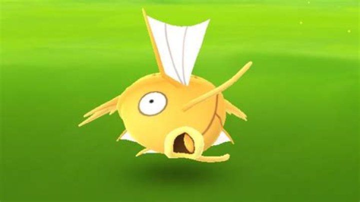 What is a Yellow Magikarp?