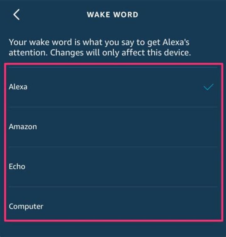 What is the Alexa wake word?