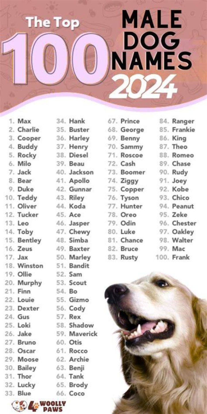 What is the best male dog name?