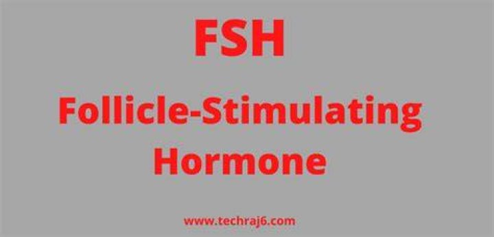 What is the full form of FSH?