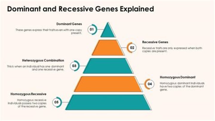 What is the most dominant gene?