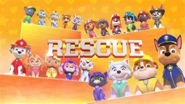 What is the new pups name on PAW Patrol?
