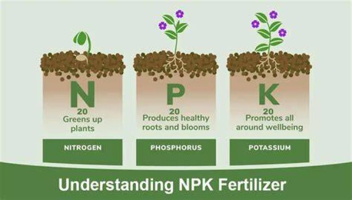 What is the NPK of homemade compost?