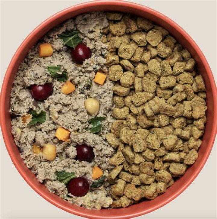 What meat is healthiest for dogs?