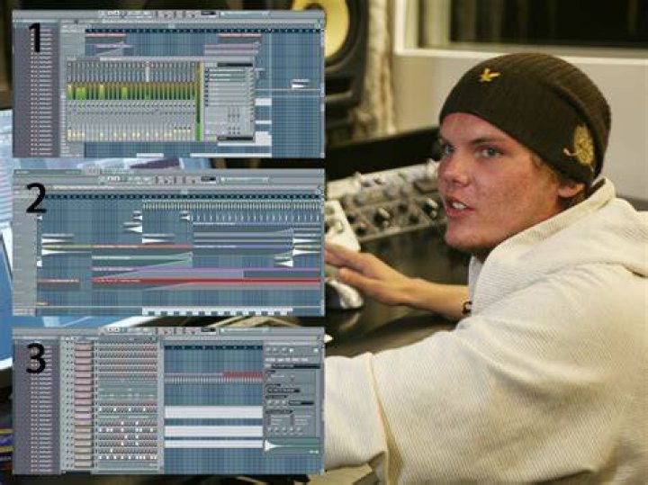 What software did avicii use?