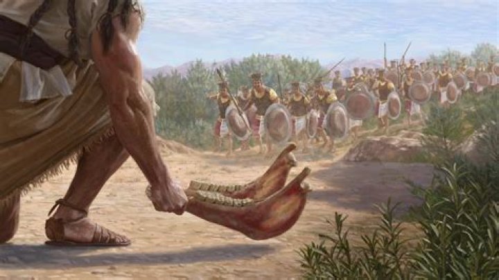 What was the donkey's name in the Bible?