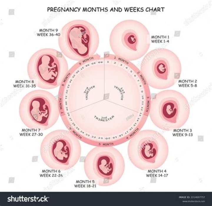 What weeks are 9 months pregnant?