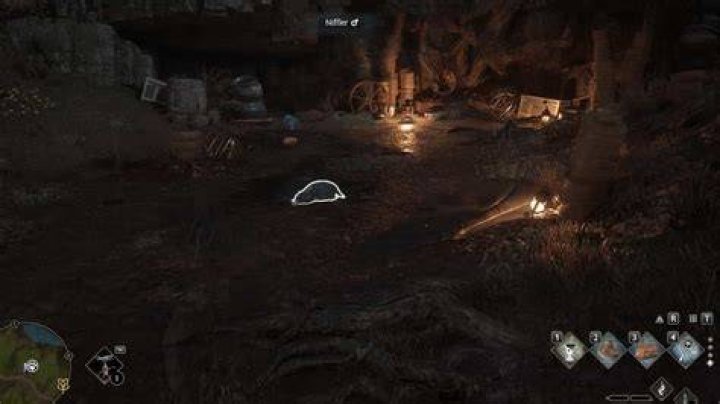 Where are Nifflers found?
