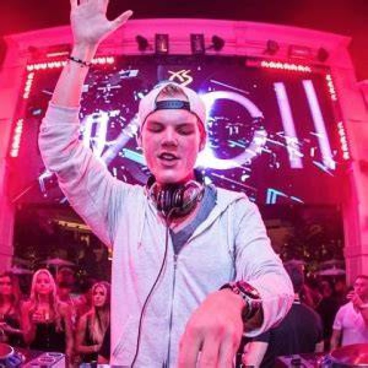Which DAW did avicii use?