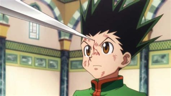 Who won Hanzo vs Gon?