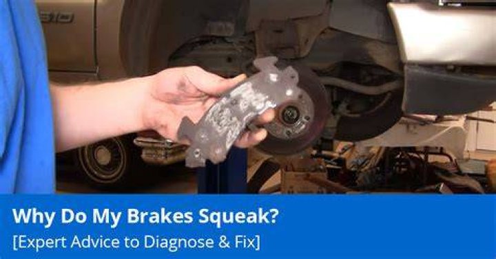 Why do my brakes squeak?