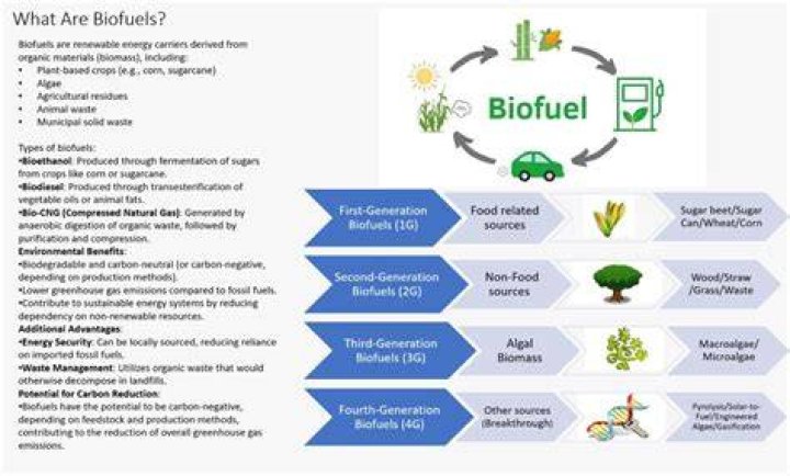 Why is biofuel not a good alternative energy?